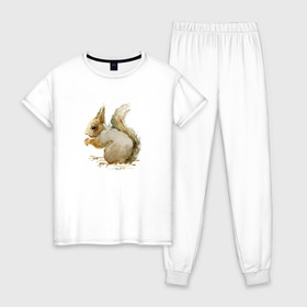 Женская пижама хлопок с принтом Белка в Петрозаводске, 100% хлопок | брюки и футболка прямого кроя, без карманов, на брюках мягкая резинка на поясе и по низу штанин | акварель | белка | рисунок