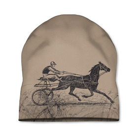 Шапка 3D с принтом лошадь с колесницей в Петрозаводске, 100% полиэстер | универсальный размер, печать по всей поверхности изделия | животные | конный спорт | конь | лошадь | наездник | спорт