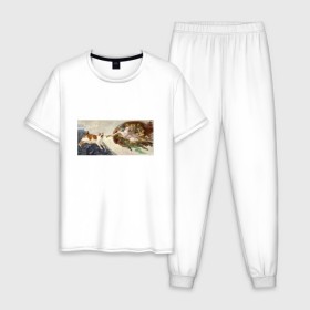 Мужская пижама хлопок с принтом Сотворение Адама и кот в Петрозаводске, 100% хлопок | брюки и футболка прямого кроя, без карманов, на брюках мягкая резинка на поясе и по низу штанин
 | Тематика изображения на принте: mem | memes | весело | искусство | кот | котик | мем | прикол | сотворение адама