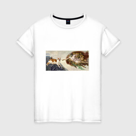 Женская футболка хлопок с принтом Сотворение Адама и кот в Петрозаводске, 100% хлопок | прямой крой, круглый вырез горловины, длина до линии бедер, слегка спущенное плечо | mem | memes | весело | искусство | кот | котик | мем | прикол | сотворение адама