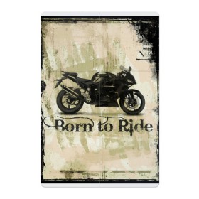 Магнитный плакат 2Х3 с принтом Born to Ride в Петрозаводске, Полимерный материал с магнитным слоем | 6 деталей размером 9*9 см | байк | байкер | байкеру | байкерше | беспечный ездок | ветер | гонки | дорога | езда | ездок | мото | мотобайк | мотогонки | мотокросс | мотор | мотоспорт | мотоцикл | мотоциклист | мотоциклисту