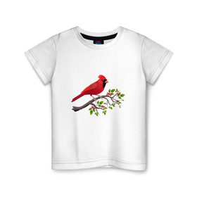 Детская футболка хлопок с принтом Красный кардинал в Петрозаводске, 100% хлопок | круглый вырез горловины, полуприлегающий силуэт, длина до линии бедер | cardinalis cardinalis | красный кардинал | новогодняя птица | птица | птичка | рождественская птица
