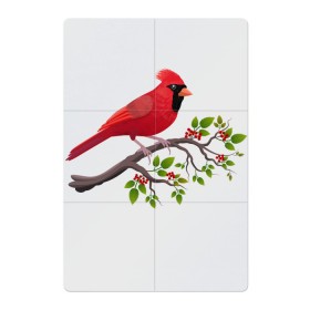 Магнитный плакат 2Х3 с принтом Красный кардинал в Петрозаводске, Полимерный материал с магнитным слоем | 6 деталей размером 9*9 см | cardinalis cardinalis | красный кардинал | новогодняя птица | птица | птичка | рождественская птица