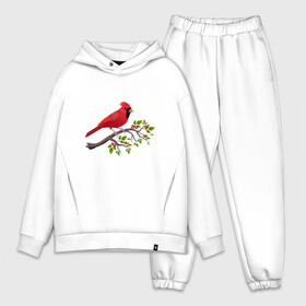 Мужской костюм хлопок OVERSIZE с принтом Красный кардинал в Петрозаводске,  |  | cardinalis cardinalis | красный кардинал | новогодняя птица | птица | птичка | рождественская птица