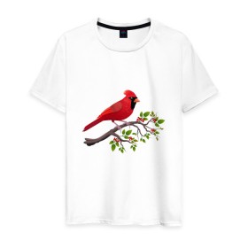 Мужская футболка хлопок с принтом Красный кардинал в Петрозаводске, 100% хлопок | прямой крой, круглый вырез горловины, длина до линии бедер, слегка спущенное плечо. | Тематика изображения на принте: cardinalis cardinalis | красный кардинал | новогодняя птица | птица | птичка | рождественская птица