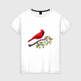 Женская футболка хлопок с принтом Красный кардинал в Петрозаводске, 100% хлопок | прямой крой, круглый вырез горловины, длина до линии бедер, слегка спущенное плечо | cardinalis cardinalis | красный кардинал | новогодняя птица | птица | птичка | рождественская птица
