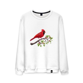 Мужской свитшот хлопок с принтом Красный кардинал в Петрозаводске, 100% хлопок |  | cardinalis cardinalis | красный кардинал | новогодняя птица | птица | птичка | рождественская птица