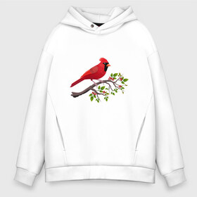 Мужское худи Oversize хлопок с принтом Красный кардинал в Петрозаводске, френч-терри — 70% хлопок, 30% полиэстер. Мягкий теплый начес внутри —100% хлопок | боковые карманы, эластичные манжеты и нижняя кромка, капюшон на магнитной кнопке | Тематика изображения на принте: cardinalis cardinalis | красный кардинал | новогодняя птица | птица | птичка | рождественская птица