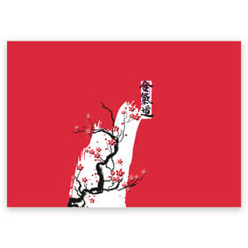 Поздравительная открытка с принтом Сакура Айкидо в Петрозаводске, 100% бумага | плотность бумаги 280 г/м2, матовая, на обратной стороне линовка и место для марки
 | aikido | аикидо | айкидо | восточные единоборства | единоборства | морихей уэсиба