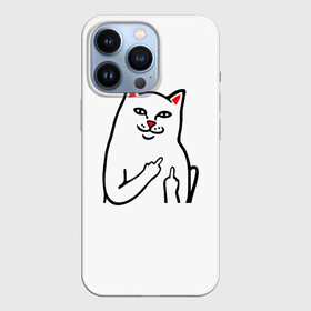 Чехол для iPhone 13 Pro с принтом Meme Cat в Петрозаводске,  |  | Тематика изображения на принте: animal | cat | meme | животное | кот | кошка | мем | прикол | юмор