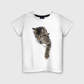Детская футболка хлопок с принтом 3д кот в Петрозаводске, 100% хлопок | круглый вырез горловины, полуприлегающий силуэт, длина до линии бедер | 3d | 3д | животные | кот | котик | кошка | прикольная картинка