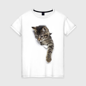 Женская футболка хлопок с принтом 3д кот в Петрозаводске, 100% хлопок | прямой крой, круглый вырез горловины, длина до линии бедер, слегка спущенное плечо | 3d | 3д | животные | кот | котик | кошка | прикольная картинка