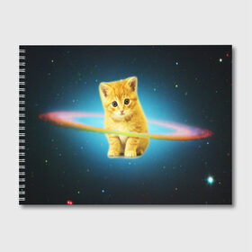 Альбом для рисования с принтом Рыжий Котик в Петрозаводске, 100% бумага
 | матовая бумага, плотность 200 мг. | cat | cats | животные | киса | киска | кот | котики | коты | котэ | кошка | природа
