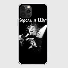 Чехол для iPhone 12 Pro Max с принтом Король и Шут + Анархия (спина) в Петрозаводске, Силикон |  | Тематика изображения на принте: punk | rock | киш | король | король и шут | михаил горшенев | панки | рок | русский рок | шут