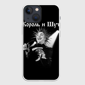 Чехол для iPhone 13 mini с принтом Король и Шут + Анархия (спина) в Петрозаводске,  |  | Тематика изображения на принте: punk | rock | киш | король | король и шут | михаил горшенев | панки | рок | русский рок | шут