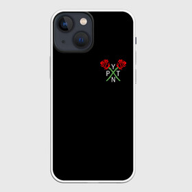 Чехол для iPhone 13 mini с принтом PAYTON MOORMEIER (НА СПИНЕ) в Петрозаводске,  |  | flower | payton moormeier | roses | tiktok | автограф payton | блогер | пейтон | пейтон моормиер | розы | тикток | тиктокер | цветы | ютубер