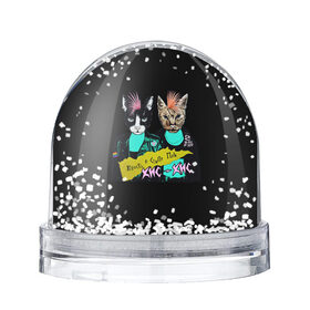 Снежный шар с принтом Кис-Кис в Петрозаводске, Пластик | Изображение внутри шара печатается на глянцевой фотобумаге с двух сторон | punk | punk rock | rock | алина олешева | кис | кис кис | кокос | панк | панк рок | рок | софья сомусева | хмурый