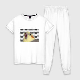 Женская пижама хлопок с принтом Орущий попугай в Петрозаводске, 100% хлопок | брюки и футболка прямого кроя, без карманов, на брюках мягкая резинка на поясе и по низу штанин | mem | забавный | мем | орущий попугай | попугай | прикол | птица | смешной | юмор