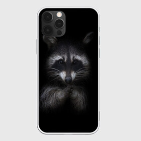Чехол для iPhone 12 Pro Max с принтом енот в Петрозаводске, Силикон |  | Тематика изображения на принте: енот | енот хайп | еноты | животные | лайв тудей