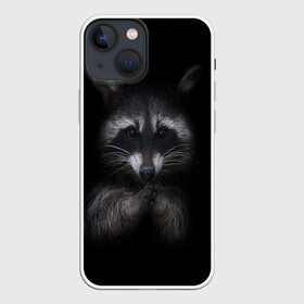 Чехол для iPhone 13 mini с принтом енот в Петрозаводске,  |  | Тематика изображения на принте: енот | енот хайп | еноты | животные | лайв тудей