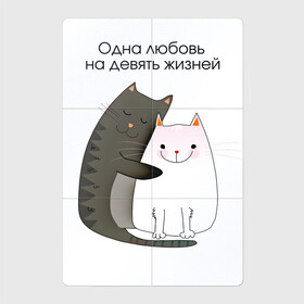 Магнитный плакат 2Х3 с принтом Любовь на девять жизней в Петрозаводске, Полимерный материал с магнитным слоем | 6 деталей размером 9*9 см | Тематика изображения на принте: 14 февраля | 8 марта | валентинов день | верность | влюбленность | влюбленные | вместе навсегда | двое | девичник | девушке | кот | коты | кошка | кошки | любимая | любимый | люблю | люблю тебя | мы с тобо