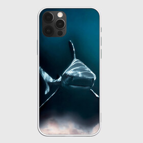 Чехол для iPhone 12 Pro Max с принтом акула в Петрозаводске, Силикон |  | Тематика изображения на принте: fish | sea | shark | акула | водоросли | майки с морем | майки с прикольными рыбками | майки с рыбками | море | морская рыба | морские картинки | морские фото | прикольные рыбки | рыба | рыбка | хищная рыба