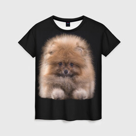 Женская футболка 3D с принтом Рыжий Шпиц в Петрозаводске, 100% полиэфир ( синтетическое хлопкоподобное полотно) | прямой крой, круглый вырез горловины, длина до линии бедер | детская | женская | купить | мужская | пес | рисунки щенков | рыжий | с принтом | с собаками | с собакой | со шпицами | со щенком | собака | собаки | шпиц | щенок