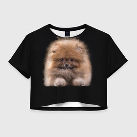 Женская футболка Crop-top 3D с принтом Рыжий Шпиц в Петрозаводске, 100% полиэстер | круглая горловина, длина футболки до линии талии, рукава с отворотами | детская | женская | купить | мужская | пес | рисунки щенков | рыжий | с принтом | с собаками | с собакой | со шпицами | со щенком | собака | собаки | шпиц | щенок