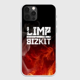 Чехол для iPhone 12 Pro Max с принтом LIMP BIZKIT в Петрозаводске, Силикон |  | Тематика изображения на принте: dj lethal | limp bizkit | rock | джон отто | лимп бизкит | майк смит | музыка | роб уотерс | рок | сэм риверс | терри бальзамо | уэс борланд | фред дёрст