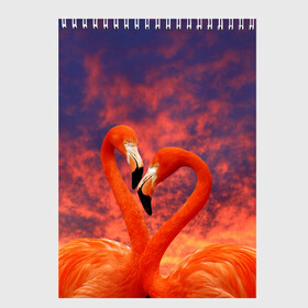 Скетчбук с принтом Flamingo Love в Петрозаводске, 100% бумага
 | 48 листов, плотность листов — 100 г/м2, плотность картонной обложки — 250 г/м2. Листы скреплены сверху удобной пружинной спиралью | 14 февраля | 8 марта | валентинов день | верность | влюбленность | влюбленные | вместе | вместе навсегда | девушке | женат | женский день | женский праздник | закат | замужем | кружка | любимая