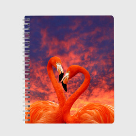Тетрадь с принтом Flamingo Love в Петрозаводске, 100% бумага | 48 листов, плотность листов — 60 г/м2, плотность картонной обложки — 250 г/м2. Листы скреплены сбоку удобной пружинной спиралью. Уголки страниц и обложки скругленные. Цвет линий — светло-серый
 | 14 февраля | 8 марта | валентинов день | верность | влюбленность | влюбленные | вместе | вместе навсегда | девушке | женат | женский день | женский праздник | закат | замужем | кружка | любимая