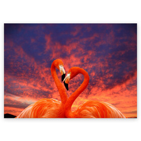 Поздравительная открытка с принтом Flamingo Love в Петрозаводске, 100% бумага | плотность бумаги 280 г/м2, матовая, на обратной стороне линовка и место для марки
 | 14 февраля | 8 марта | валентинов день | верность | влюбленность | влюбленные | вместе | вместе навсегда | девушке | женат | женский день | женский праздник | закат | замужем | кружка | любимая