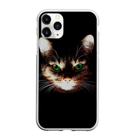 Чехол для iPhone 11 Pro Max матовый с принтом Зеленоглазый кот в Петрозаводске, Силикон |  | зеленые глаза | кот | котик | кошак | кошатнику | кошатнице | кошачий портрет | кошка | кошка с зелеными глазами | кружка | любительнице ко | любителю кошек | подушка | полосатый кот | портрет кота