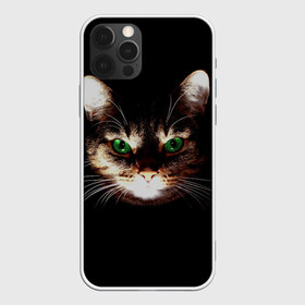 Чехол для iPhone 12 Pro Max с принтом Зеленоглазый кот в Петрозаводске, Силикон |  | зеленые глаза | кот | котик | кошак | кошатнику | кошатнице | кошачий портрет | кошка | кошка с зелеными глазами | кружка | любительнице ко | любителю кошек | подушка | полосатый кот | портрет кота