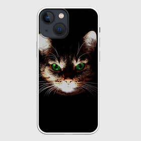 Чехол для iPhone 13 mini с принтом Зеленоглазый кот в Петрозаводске,  |  | зеленые глаза | кот | котик | кошак | кошатнику | кошатнице | кошачий портрет | кошка | кошка с зелеными глазами | кружка | любительнице ко | любителю кошек | подушка | полосатый кот | портрет кота
