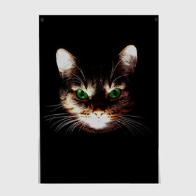 Постер с принтом Зеленоглазый кот в Петрозаводске, 100% бумага
 | бумага, плотность 150 мг. Матовая, но за счет высокого коэффициента гладкости имеет небольшой блеск и дает на свету блики, но в отличии от глянцевой бумаги не покрыта лаком | Тематика изображения на принте: зеленые глаза | кот | котик | кошак | кошатнику | кошатнице | кошачий портрет | кошка | кошка с зелеными глазами | кружка | любительнице ко | любителю кошек | подушка | полосатый кот | портрет кота