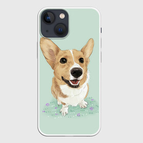 Чехол для iPhone 13 mini с принтом КОРГИ в Петрозаводске,  |  | animals | corgi | dogs | pets | puppies | queen | животные | корги | королева | песики | питомцы | собаки | щенки