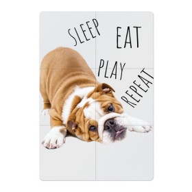 Магнитный плакат 2Х3 с принтом Sleep Eat Play Repeat (Бульдог) в Петрозаводске, Полимерный материал с магнитным слоем | 6 деталей размером 9*9 см | bulldog | dog | puppy | sleep eat play repeat | английский бульдог | бульдог | бульдог английский | веселая собака | веселый щенок | игривый щенок | мысли с | мысли щенка | рыжая собака | рыжий щенок | собачья жизнь