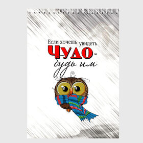 Скетчбук с принтом Чудо в Петрозаводске, 100% бумага
 | 48 листов, плотность листов — 100 г/м2, плотность картонной обложки — 250 г/м2. Листы скреплены сверху удобной пружинной спиралью | если хочешь увидеть чудо будь им | милота | сова | совёнок | чудо