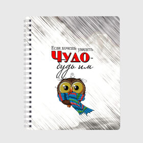 Тетрадь с принтом Чудо в Петрозаводске, 100% бумага | 48 листов, плотность листов — 60 г/м2, плотность картонной обложки — 250 г/м2. Листы скреплены сбоку удобной пружинной спиралью. Уголки страниц и обложки скругленные. Цвет линий — светло-серый
 | если хочешь увидеть чудо будь им | милота | сова | совёнок | чудо