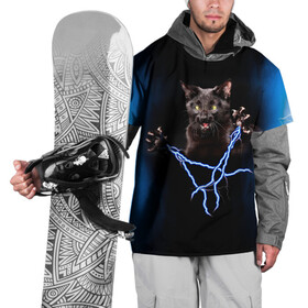 Накидка на куртку 3D с принтом Грозовой кошак(громовержец) в Петрозаводске, 100% полиэстер |  | грозовой | громовержец | кот | кошак | молнии | разряды | черный