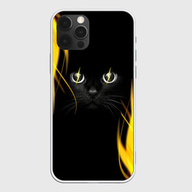 Чехол для iPhone 12 Pro Max с принтом Грозовой кошак в Петрозаводске, Силикон |  | Тематика изображения на принте: глаза | грозовой | кот | кошак | молнии | пламя | разряды | черный