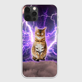 Чехол для iPhone 12 Pro Max с принтом Котушка Теслы в Петрозаводске, Силикон |  | cat | lightning | lightning cat | tesla | арт с котом | грозовой кошак | катушка теслы | кот | кот мем | котейка | котушка теслы | котяра | кошак | кошка | мем с котом | молнии | тесла