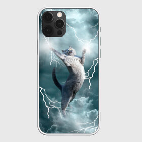 Чехол для iPhone 12 Pro Max с принтом Грозовой кошак в Петрозаводске, Силикон |  | Тематика изображения на принте: cat | грозовой кот | грозовой кошак | животные | звери | кот | котики | кошак | молния