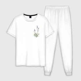 Мужская пижама хлопок с принтом Lavanda в Петрозаводске, 100% хлопок | брюки и футболка прямого кроя, без карманов, на брюках мягкая резинка на поясе и по низу штанин
 | лаванда | лавандовые цветы | милота | нежность | цветочки | цветы