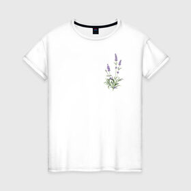 Женская футболка хлопок с принтом Lavanda в Петрозаводске, 100% хлопок | прямой крой, круглый вырез горловины, длина до линии бедер, слегка спущенное плечо | лаванда | лавандовые цветы | милота | нежность | цветочки | цветы