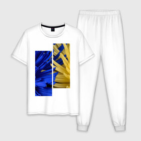 Мужская пижама хлопок с принтом Украинский акцент в Петрозаводске, 100% хлопок | брюки и футболка прямого кроя, без карманов, на брюках мягкая резинка на поясе и по низу штанин
 | жёлтый | намёк | пионы | синий | украина | украинский флаг | флаг | цвет | цвет флага | цветы