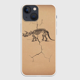 Чехол для iPhone 13 mini с принтом Triceratops skeleton в Петрозаводске,  |  | dinosaur | extinct | primal | skeleton | triceratops | вымерший | динозавр | первобытный | скелет | трицератопс
