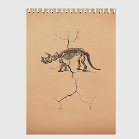 Скетчбук с принтом Triceratops skeleton в Петрозаводске, 100% бумага
 | 48 листов, плотность листов — 100 г/м2, плотность картонной обложки — 250 г/м2. Листы скреплены сверху удобной пружинной спиралью | Тематика изображения на принте: dinosaur | extinct | primal | skeleton | triceratops | вымерший | динозавр | первобытный | скелет | трицератопс