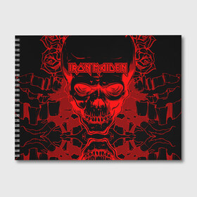 Альбом для рисования с принтом Iron Maiden в Петрозаводске, 100% бумага
 | матовая бумага, плотность 200 мг. | 80s | hardrock | heavy | iron | maiden | metal | pop | steve harris | the final frontier | uk | айрон | группа | железная дева | метал | мэйден | хеви